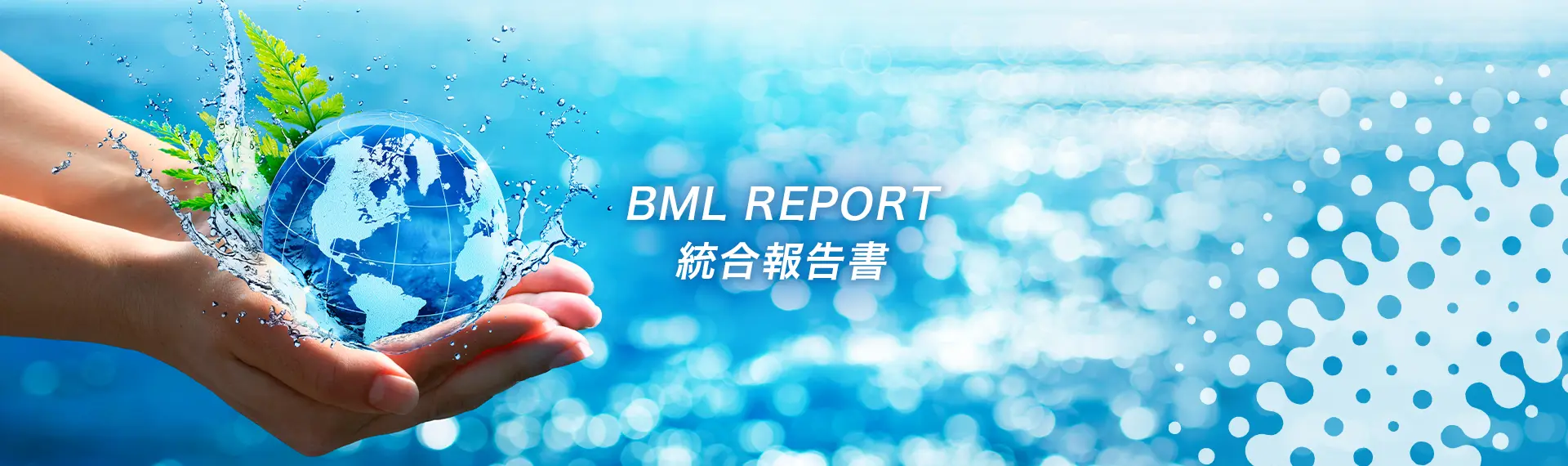 BML REPORT 統合報告書