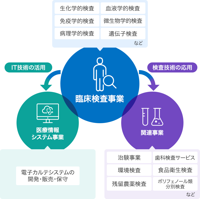 事業領域　臨床検査事業　医療情報システム事業　関連事業