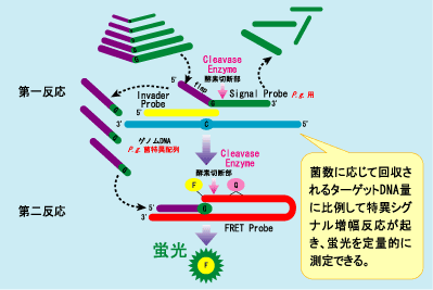 インベーダー法フローチャート